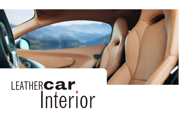leather car interior