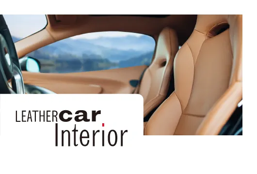 leather car interior